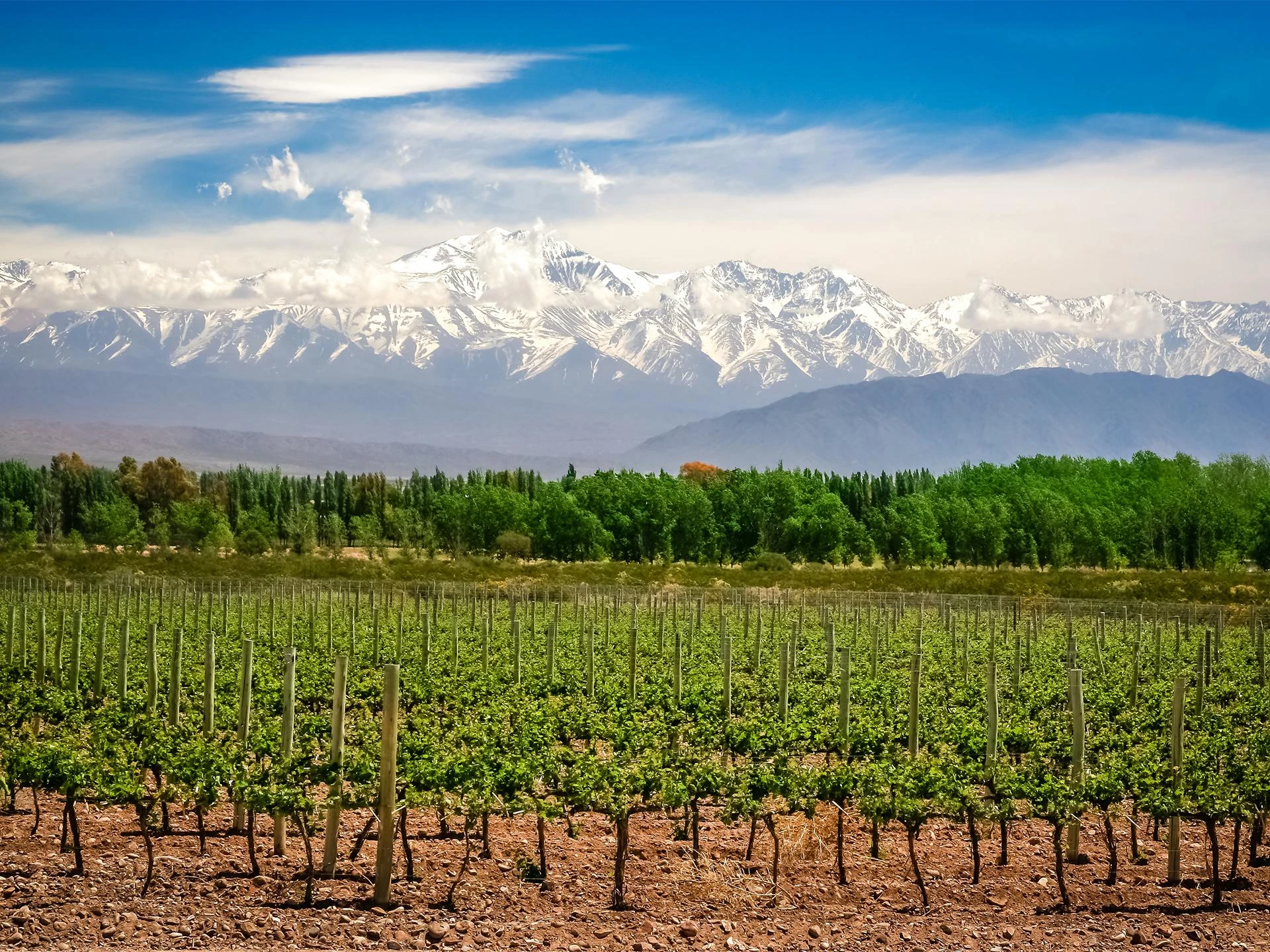 mendoza