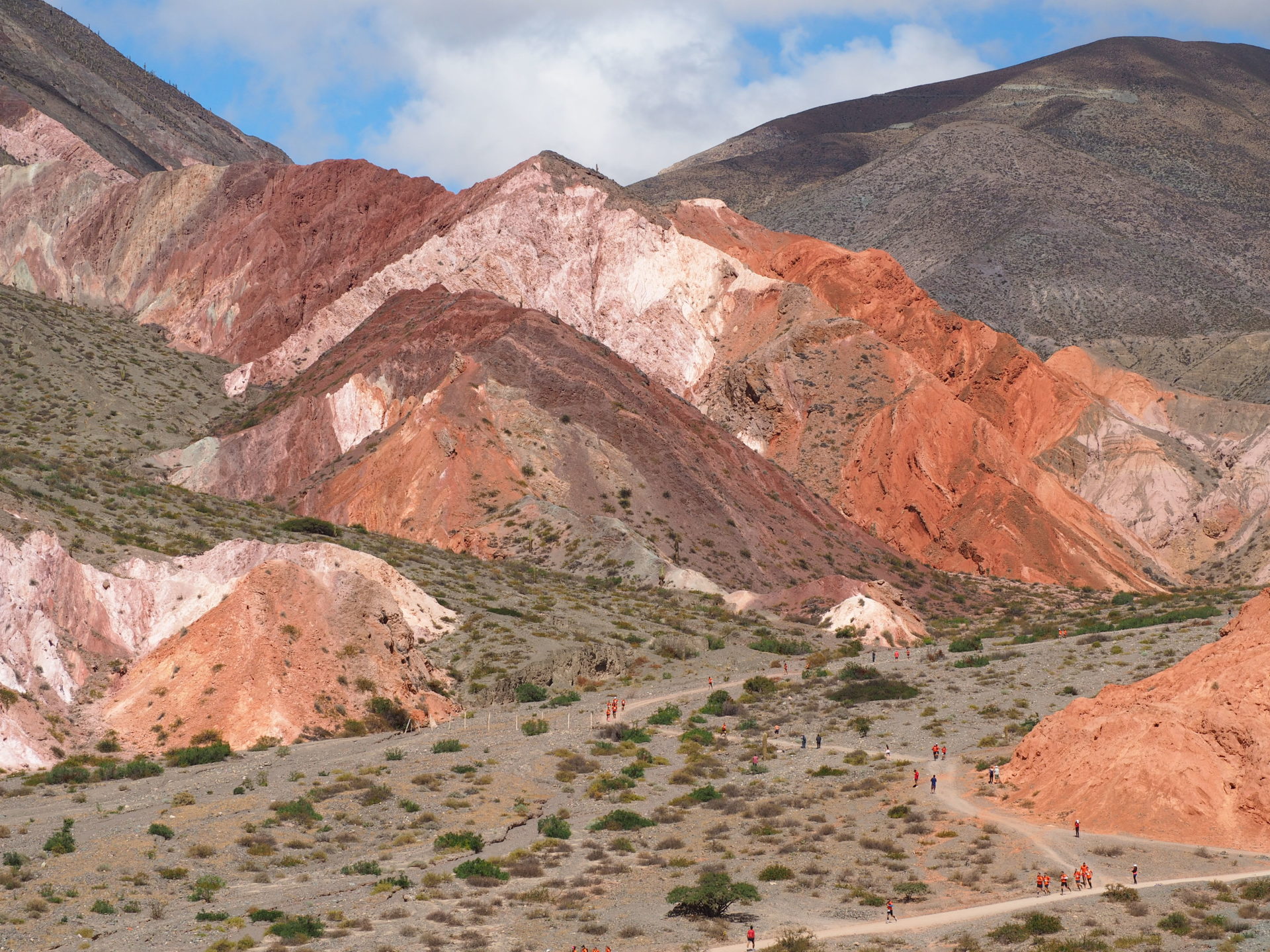 salta